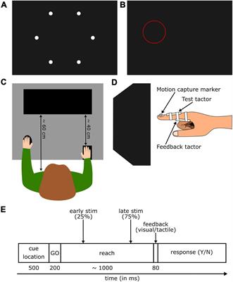 Linking Signal Relevancy and Intensity in Predictive Tactile Suppression